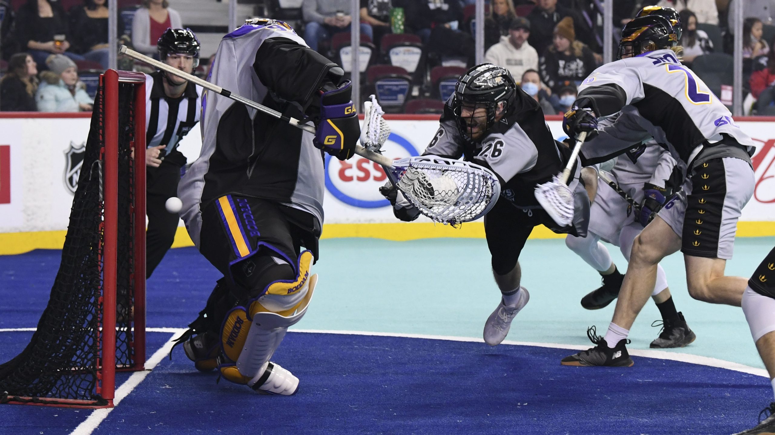 Dane Dobbie San Diego Seals Calgary Roughnecks 