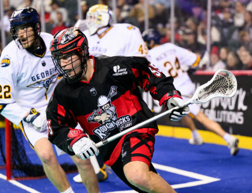 Calgary Caught In The Swarm